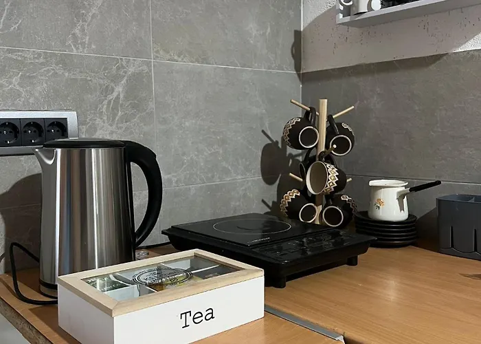 Old Town Belgrade Apartment